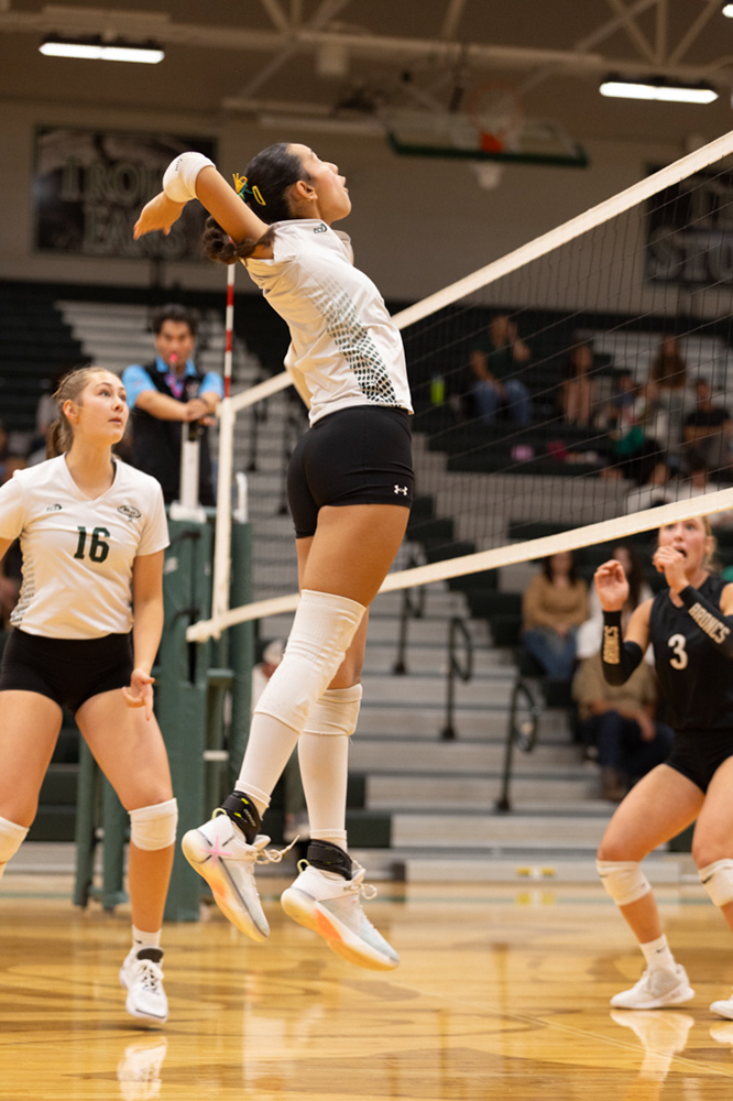 %_tempFileName1M6A1599%