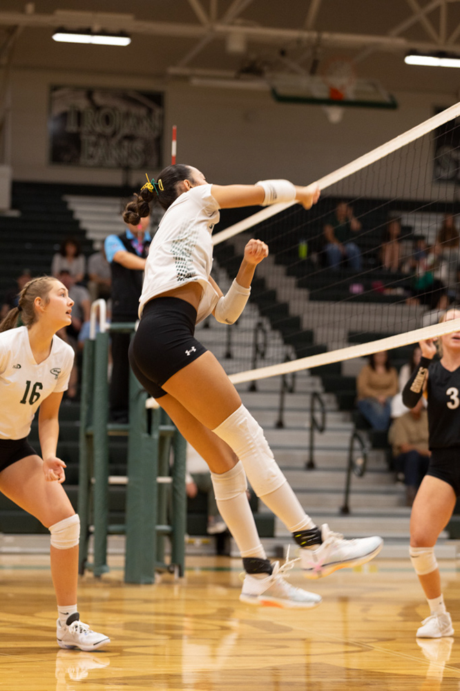 %_tempFileName1M6A1603%