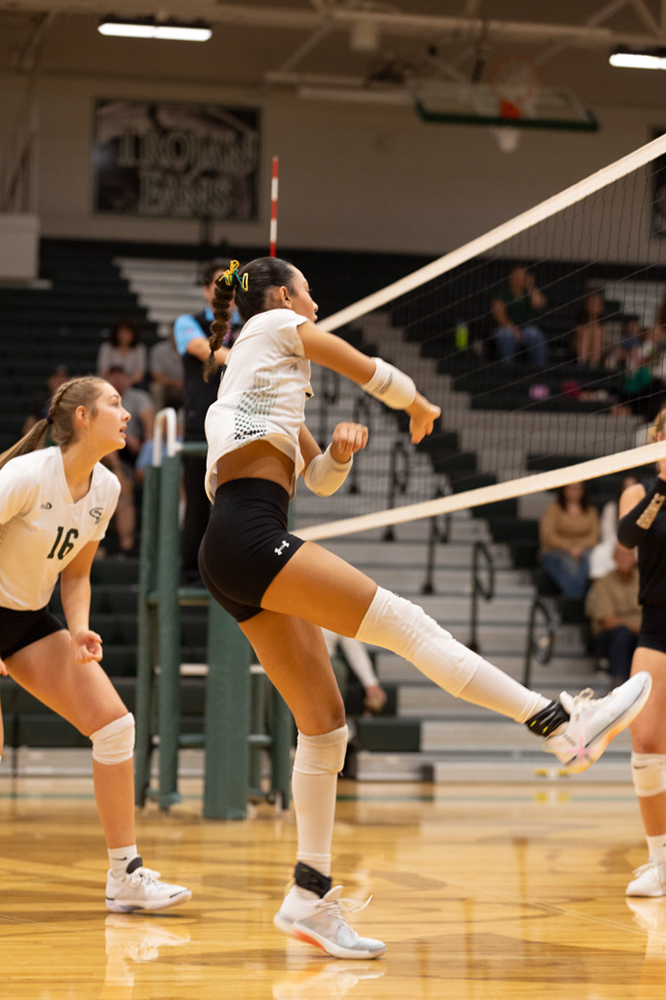 %_tempFileName1M6A1604%