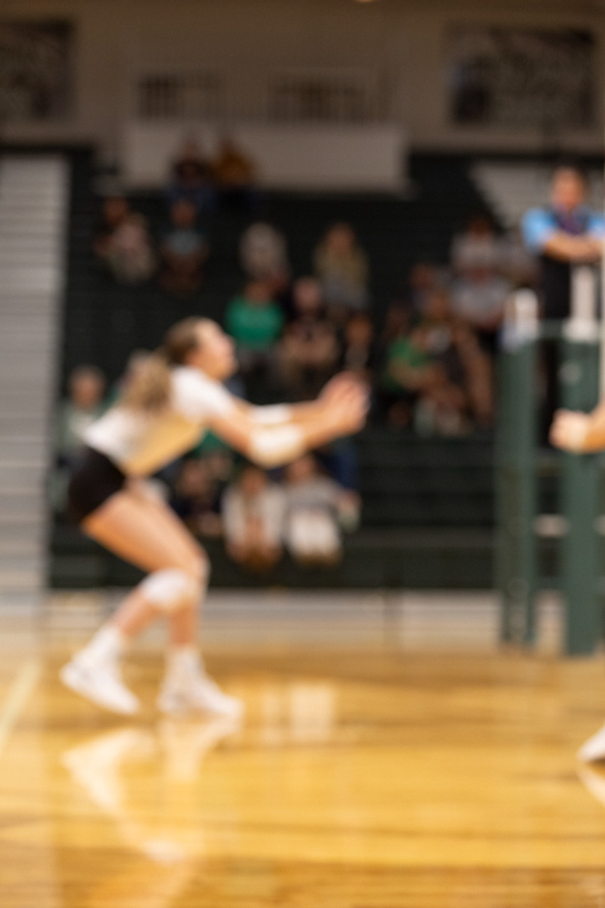 %_tempFileName1M6A1624%