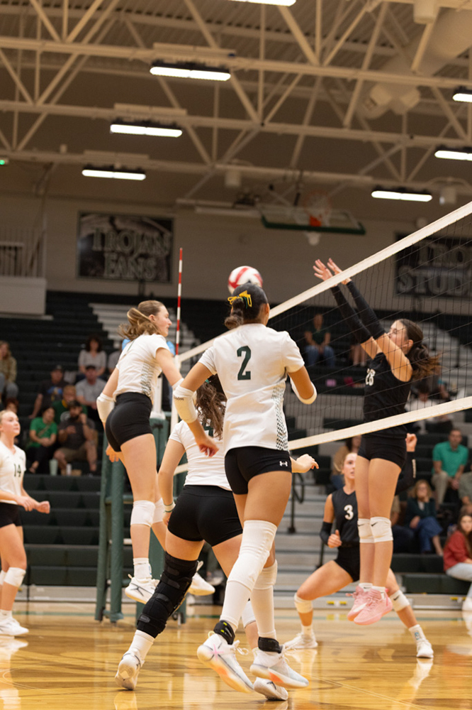 %_tempFileName1M6A1631%