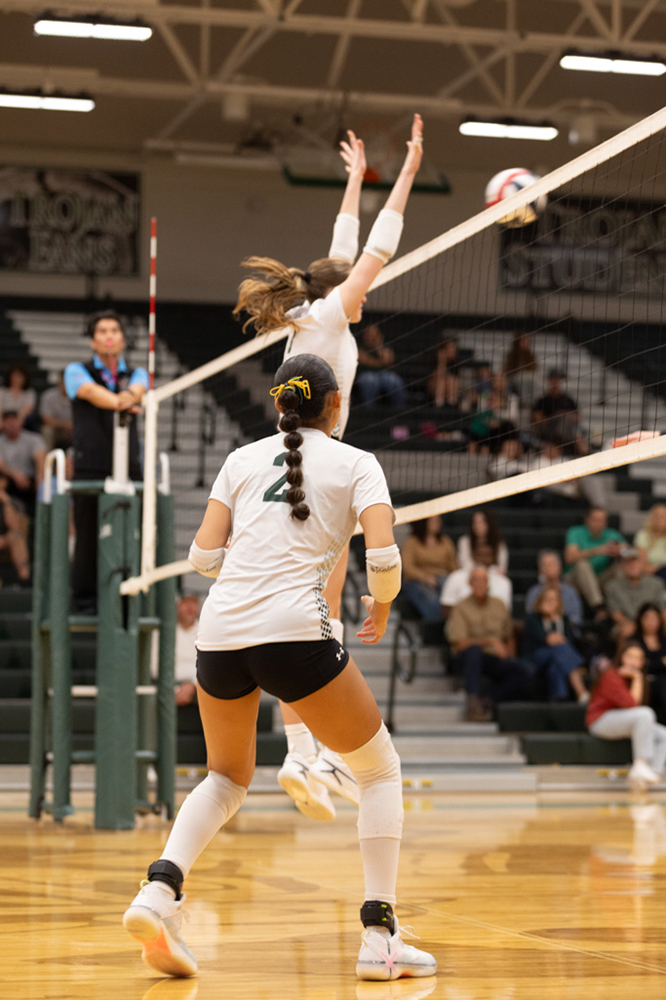 %_tempFileName1M6A1636%