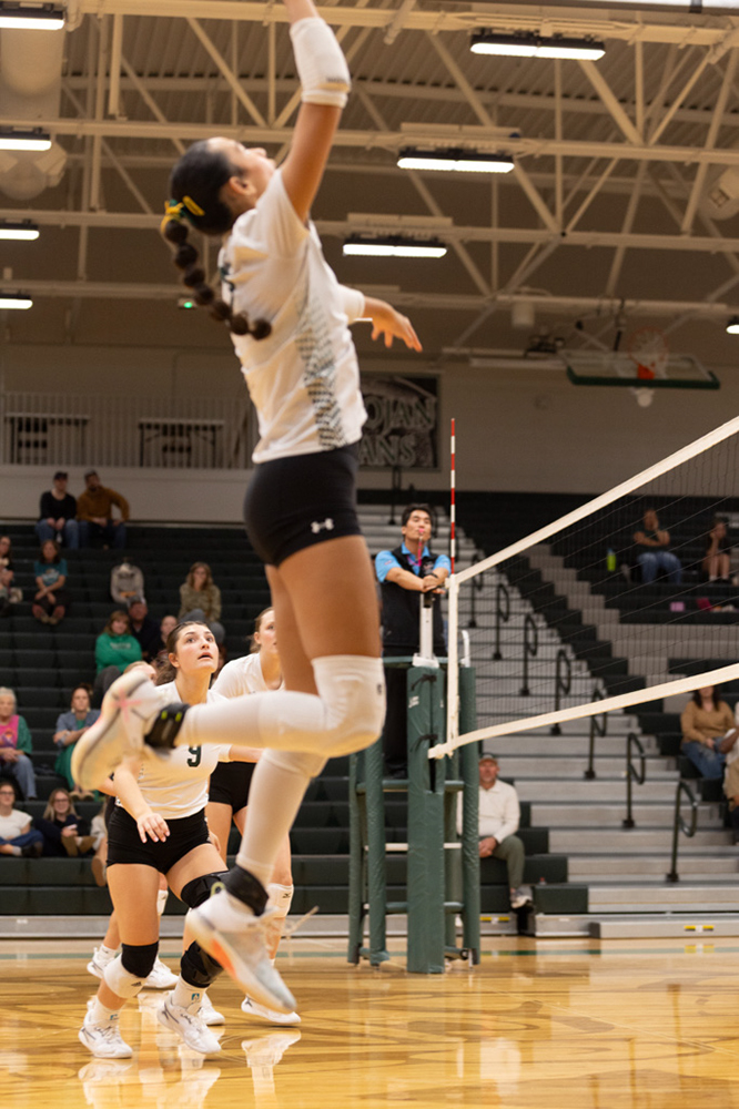 %_tempFileName1M6A1646%