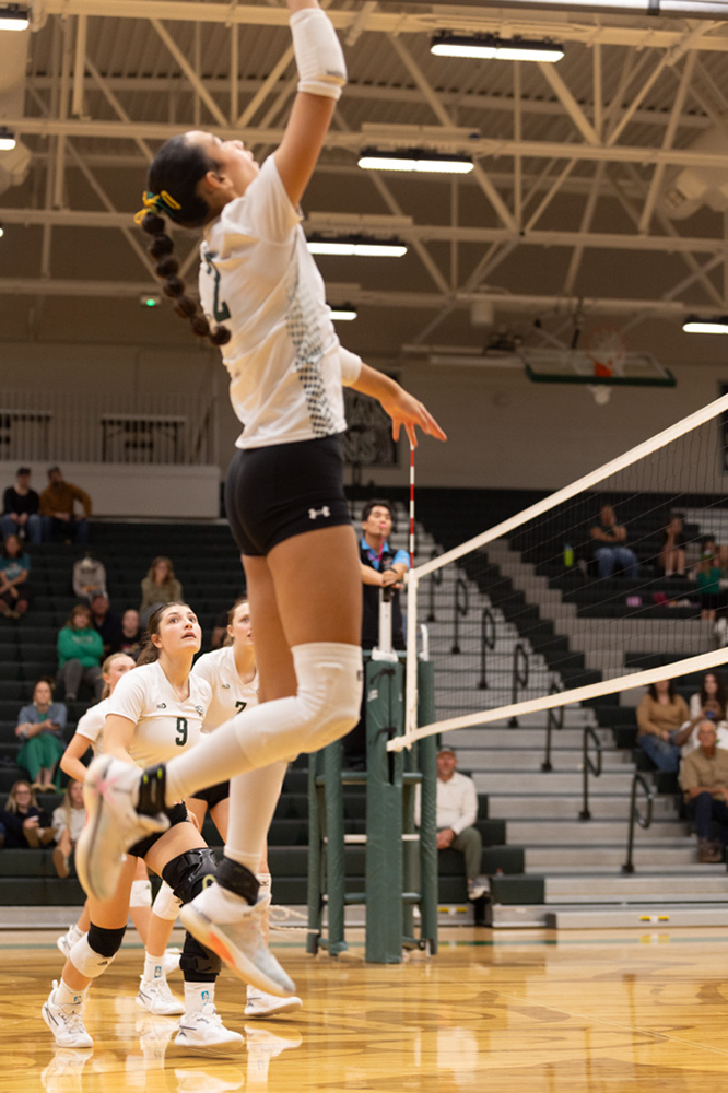 %_tempFileName1M6A1647%