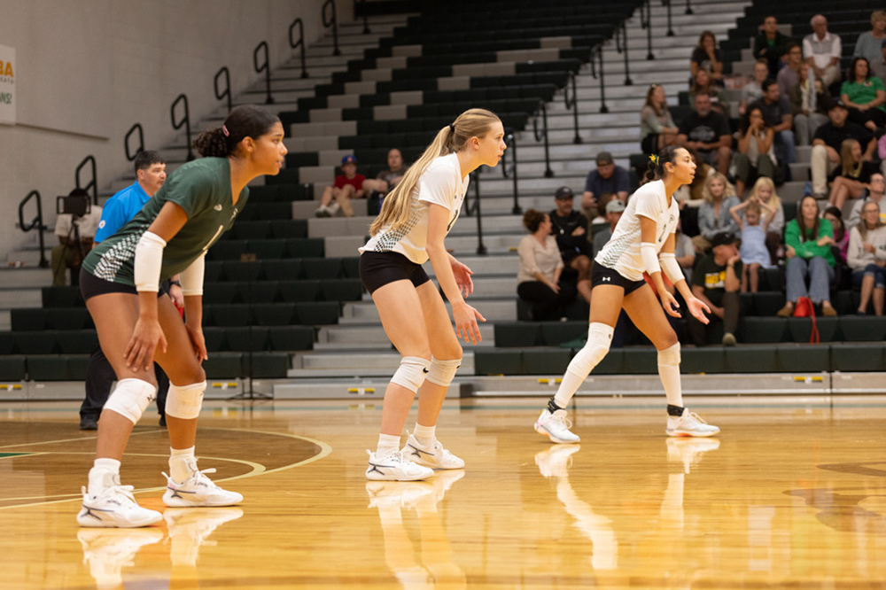 %_tempFileName1M6A1652%