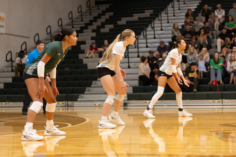 %_tempFileName1M6A1653%