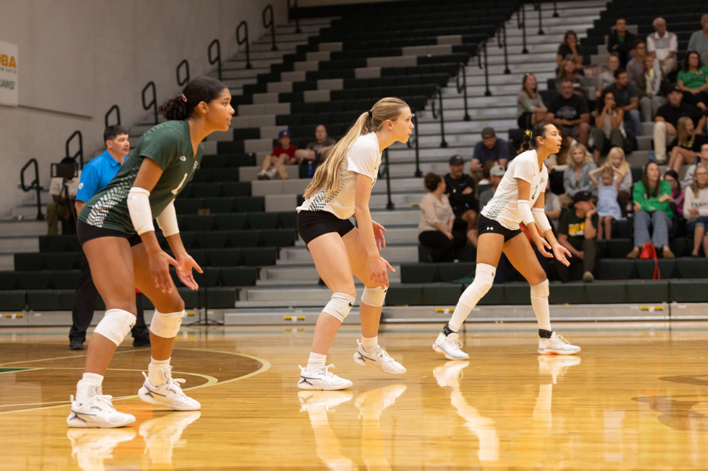 %_tempFileName1M6A1655%