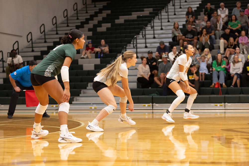 %_tempFileName1M6A1656%