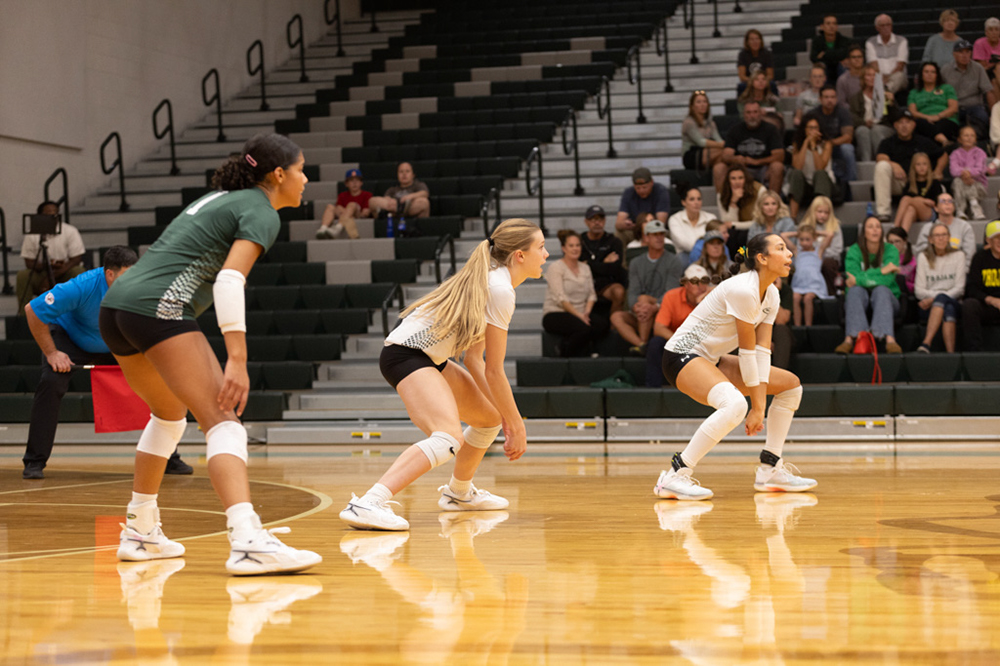 %_tempFileName1M6A1658%