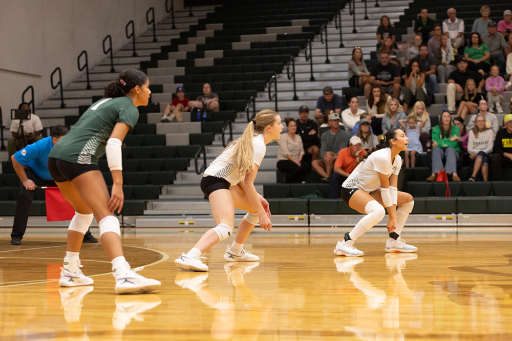 %_tempFileName1M6A1659%