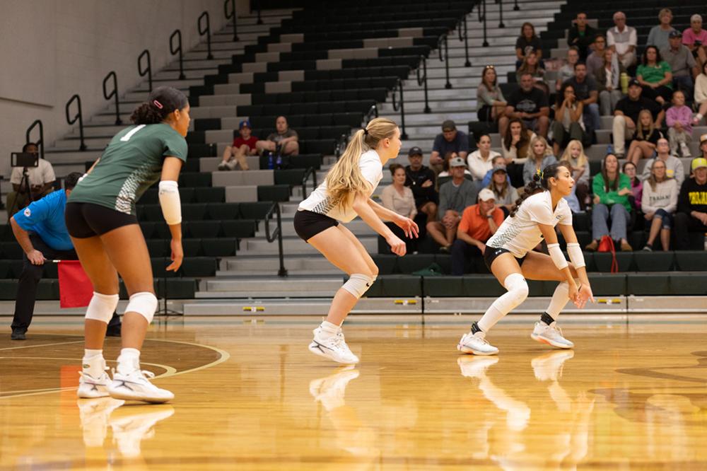 %_tempFileName1M6A1663%