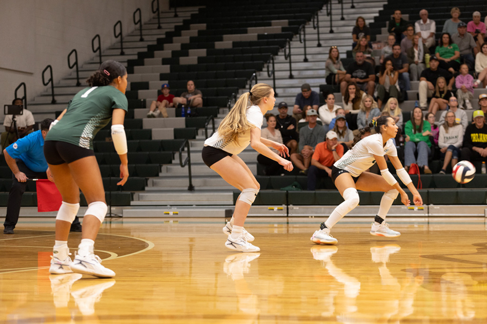 %_tempFileName1M6A1664%