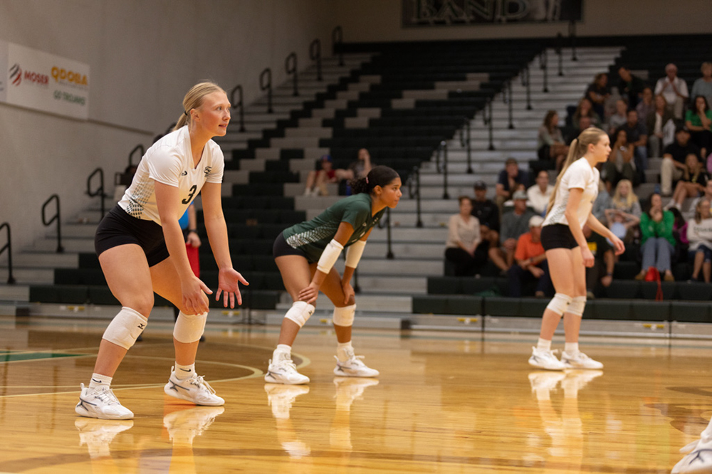 %_tempFileName1M6A1665%