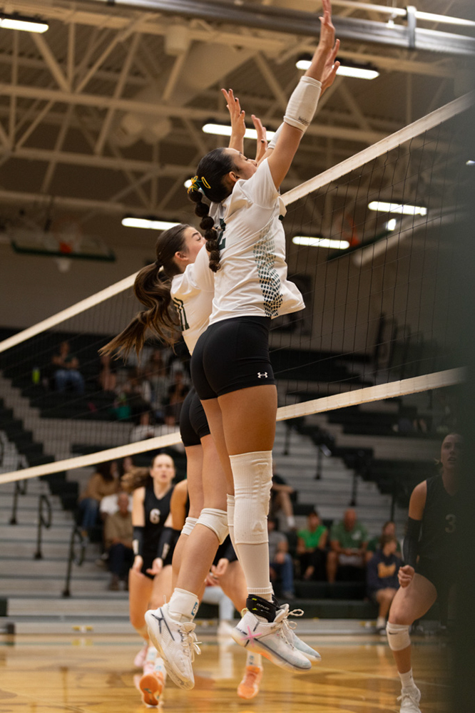 %_tempFileName1M6A1684%