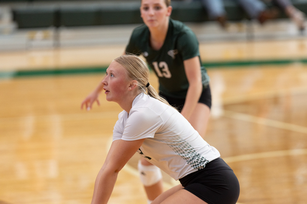 %_tempFileName1M6A9591%