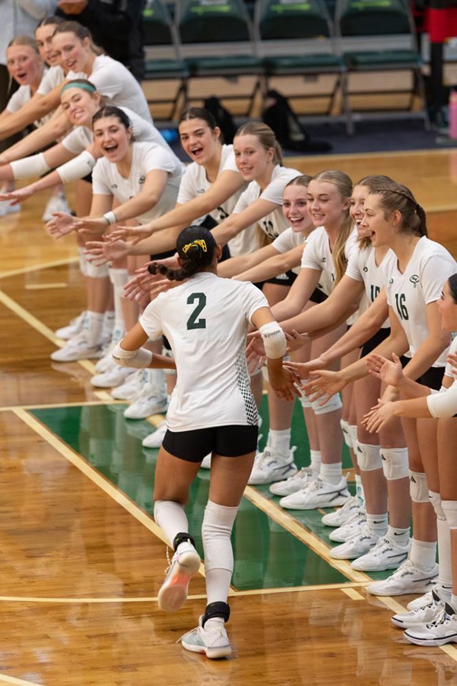 %_tempFileName1M6A9732%