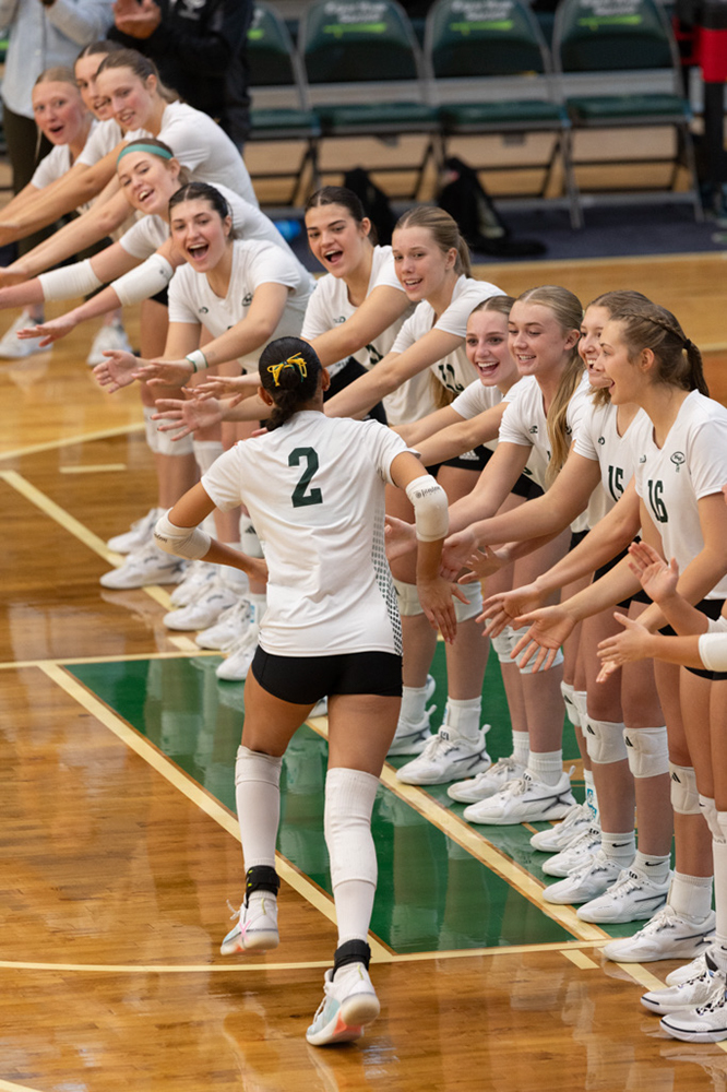 %_tempFileName1M6A9733%