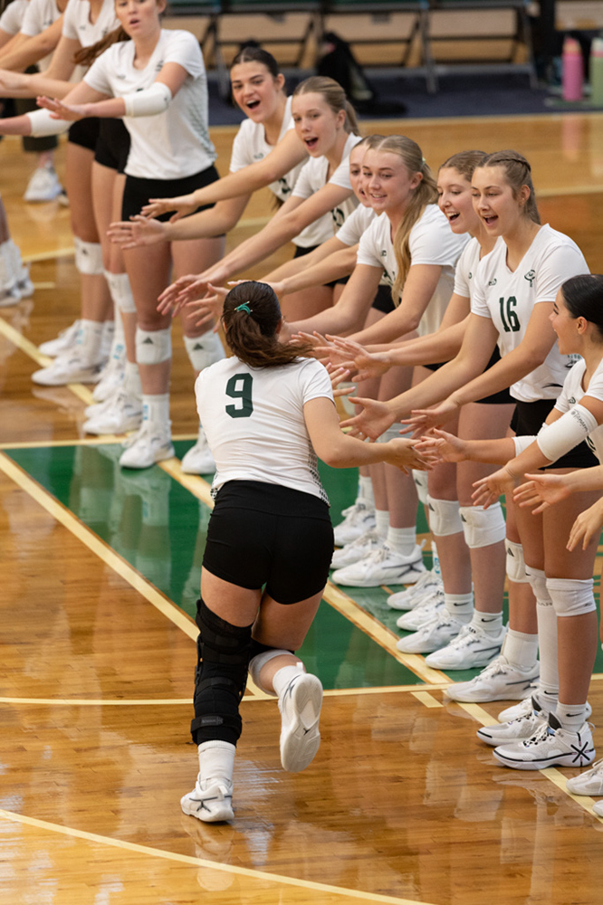 %_tempFileName1M6A9743%