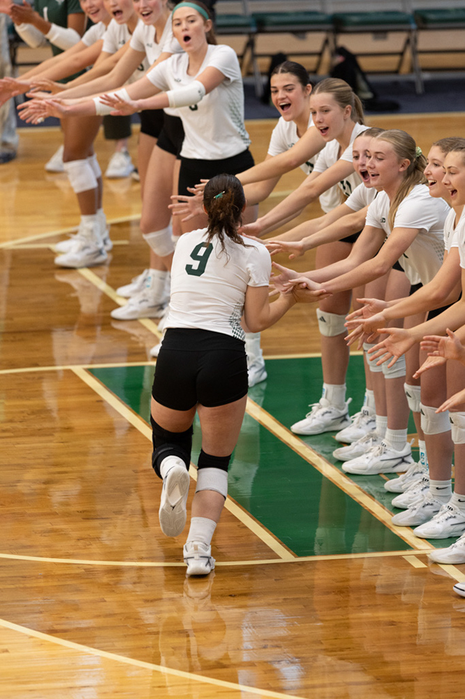 %_tempFileName1M6A9748%