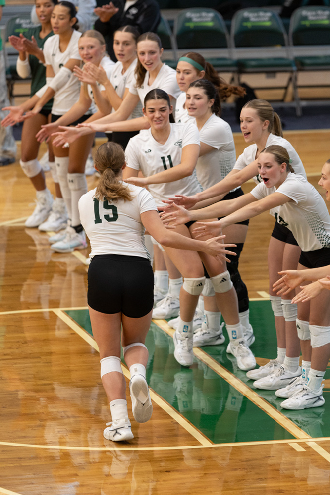 %_tempFileName1M6A9781%