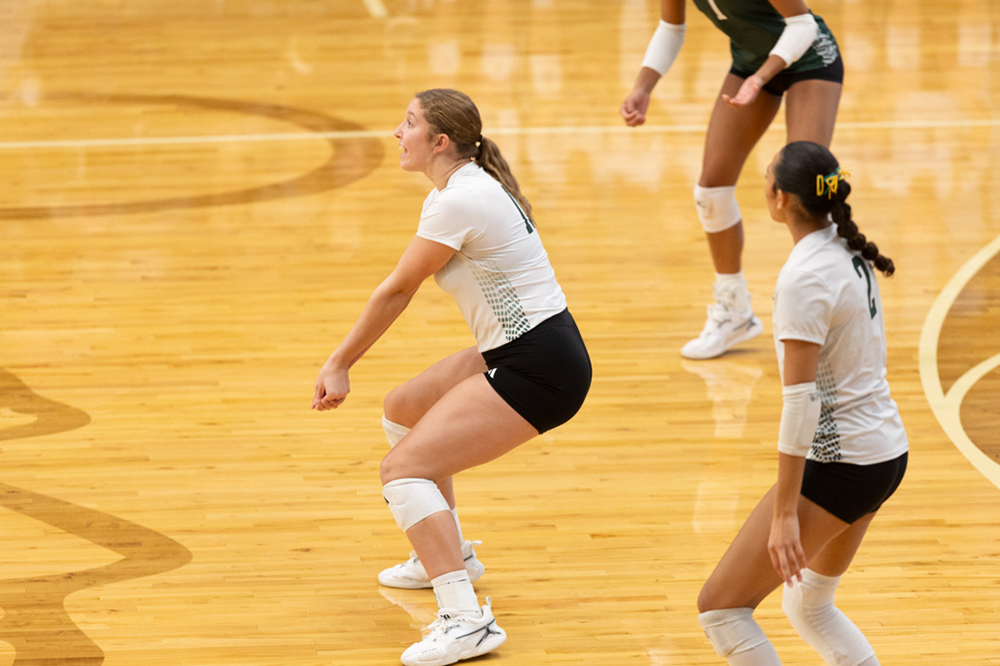 %_tempFileName1M6A9803%