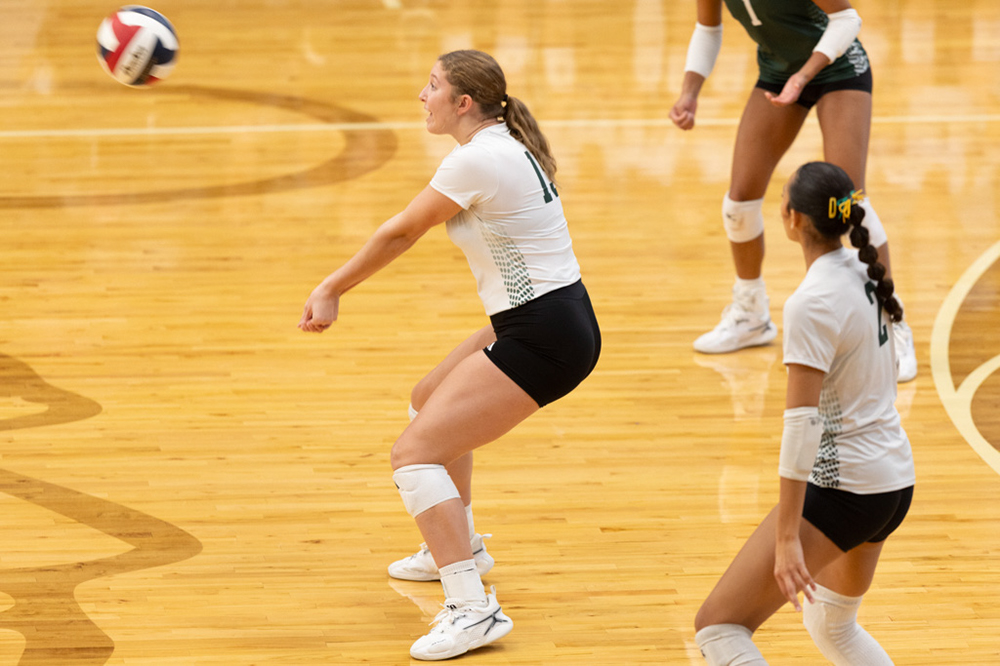 %_tempFileName1M6A9804%