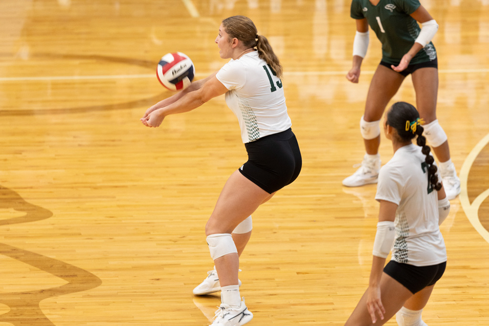 %_tempFileName1M6A9805%