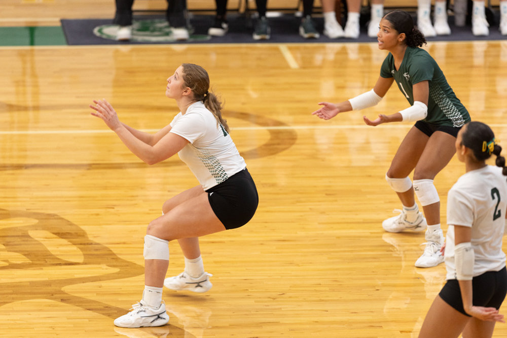 %_tempFileName1M6A9816%