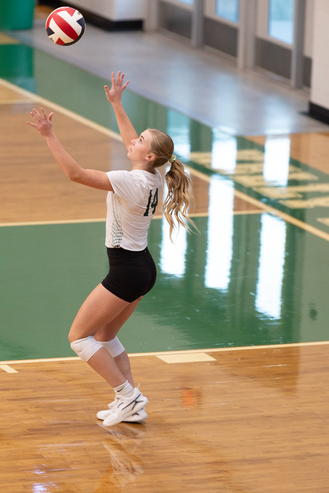 %_tempFileName1M6A9904%