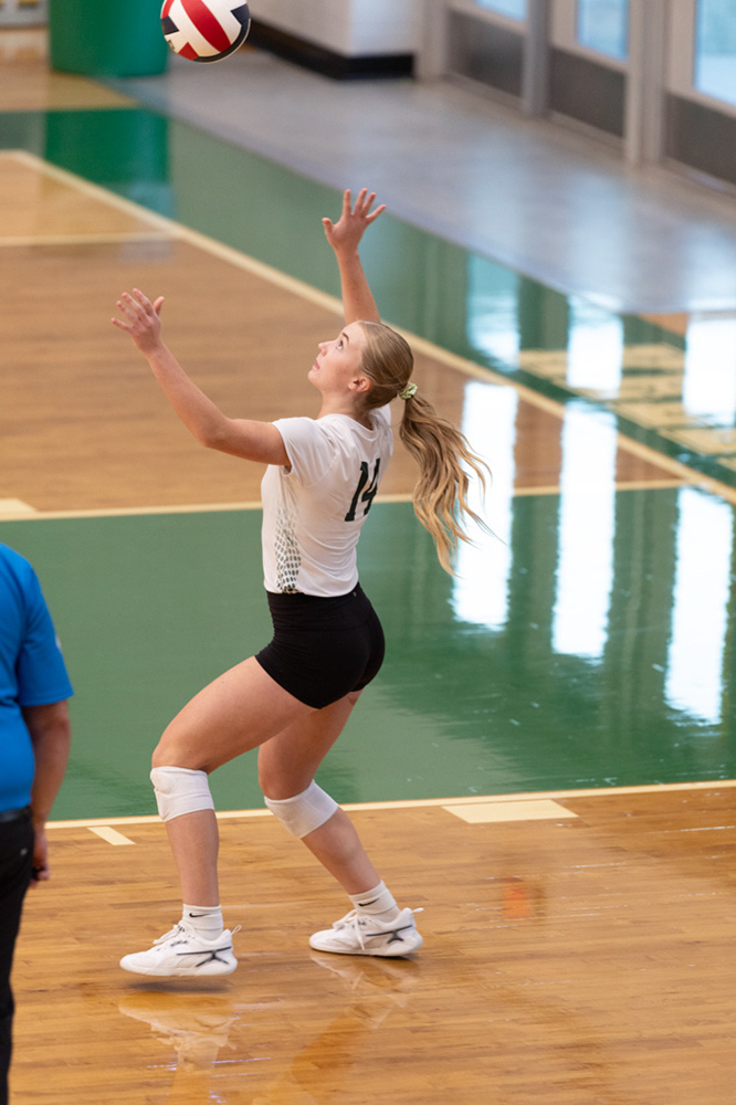 %_tempFileName1M6A9905%