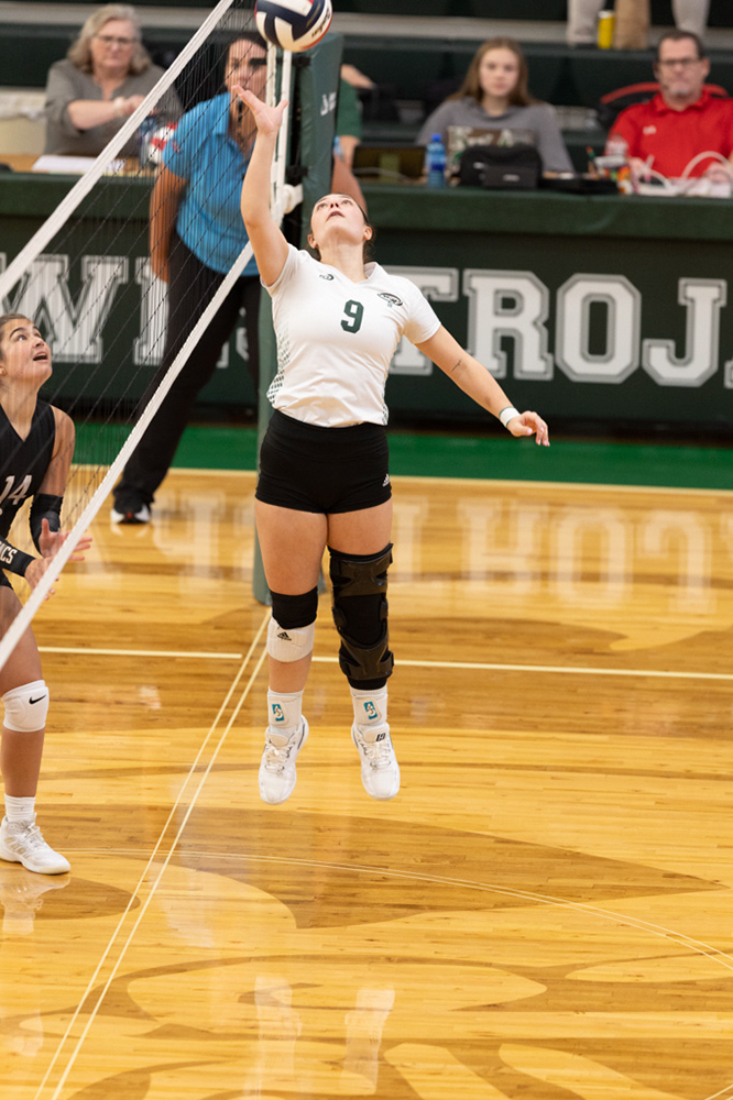 %_tempFileName1M6A9951%