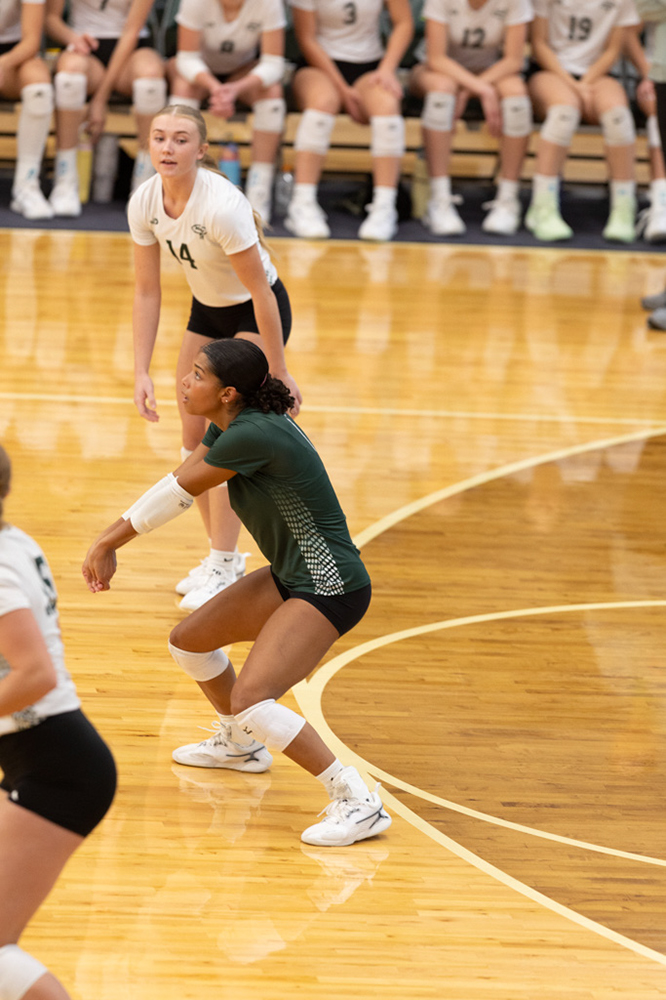 %_tempFileName1M6A9964%