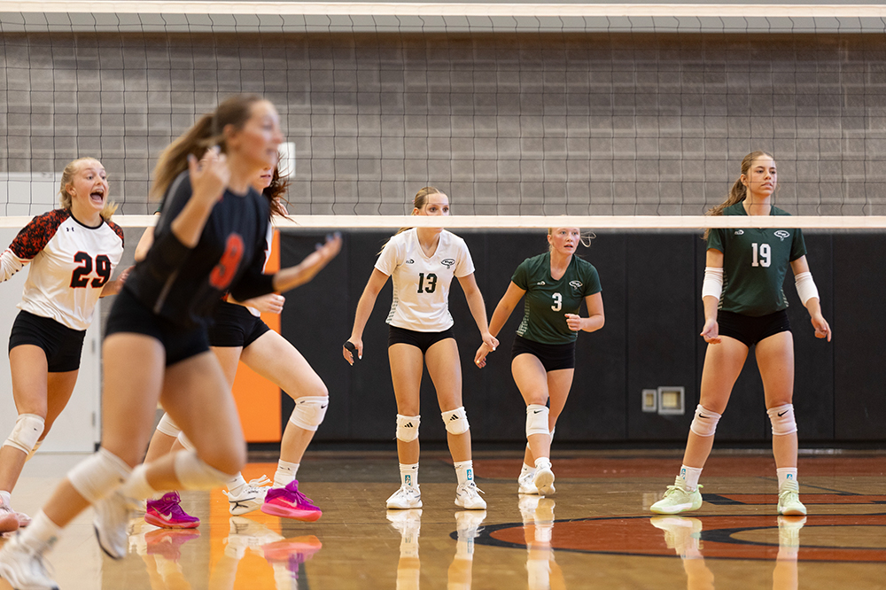 %_tempFileName1M6A5463%