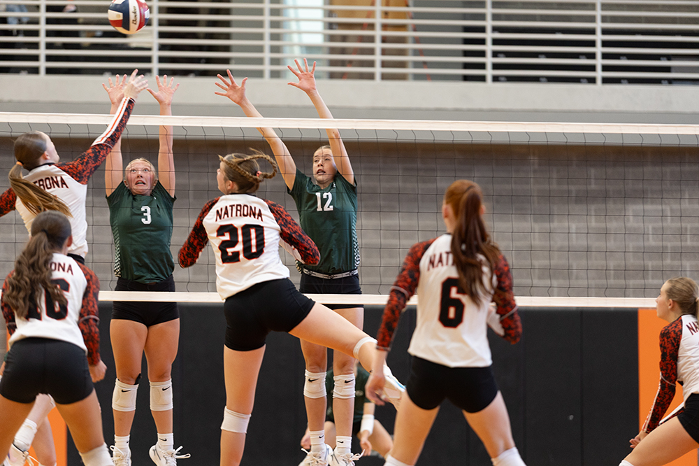 %_tempFileName1M6A5481%