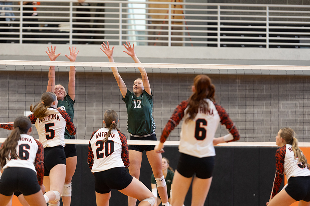 %_tempFileName1M6A5484%