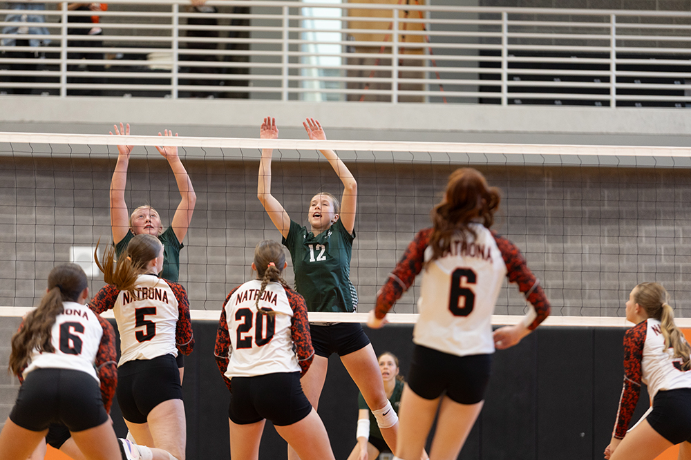 %_tempFileName1M6A5485%