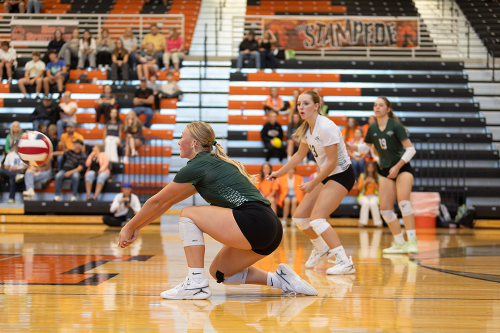 %_tempFileName1M6A5495%