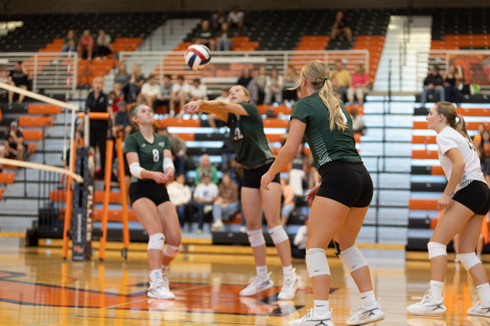 %_tempFileName1M6A5501%