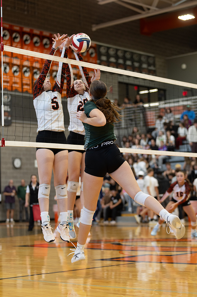 %_tempFileName1M6A5515%