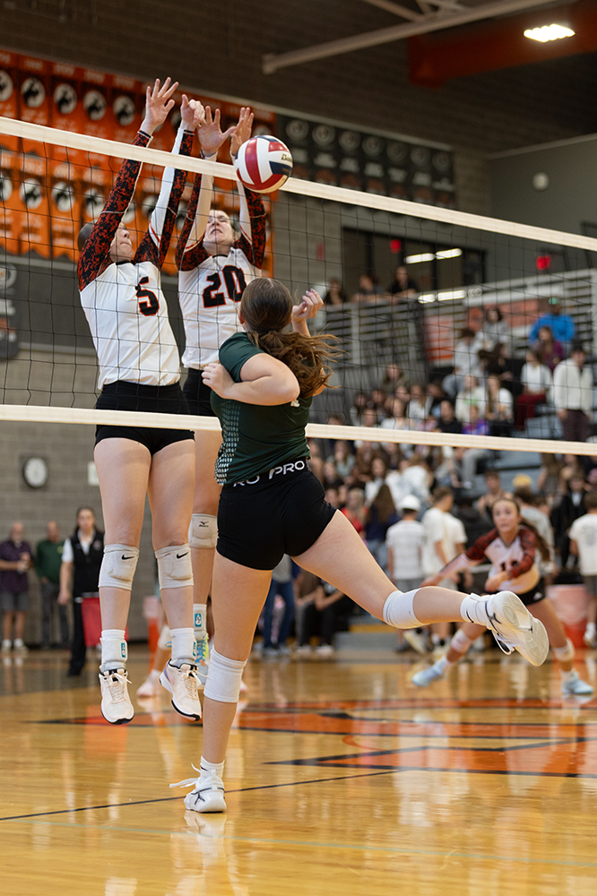 %_tempFileName1M6A5516%