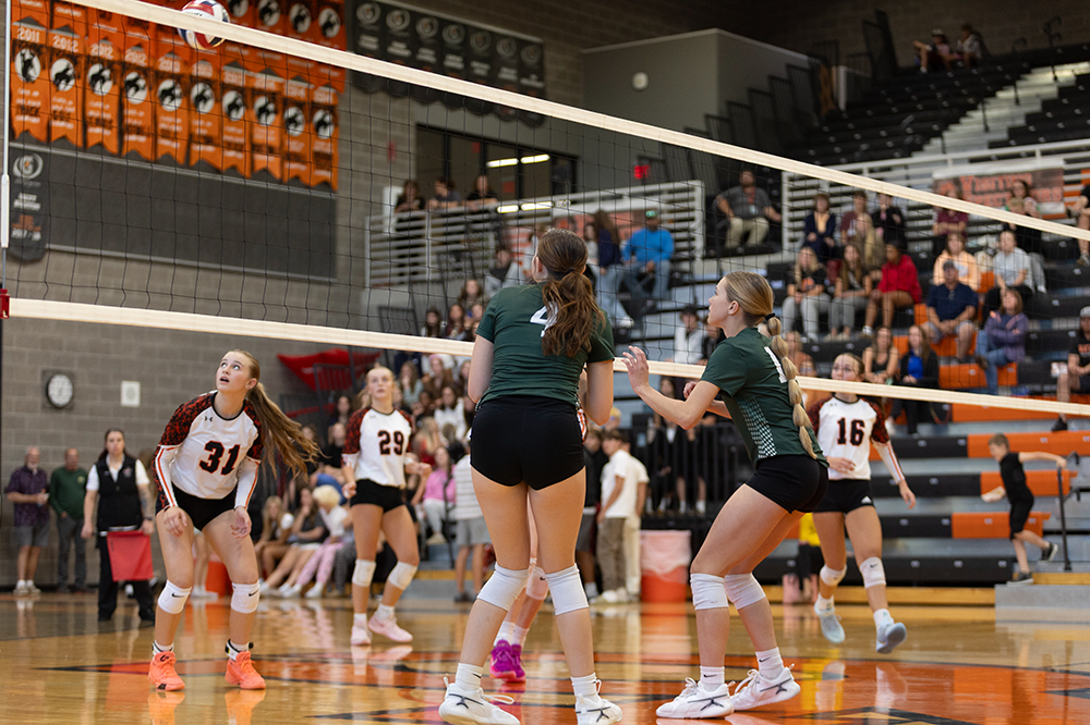 %_tempFileName1M6A5522%