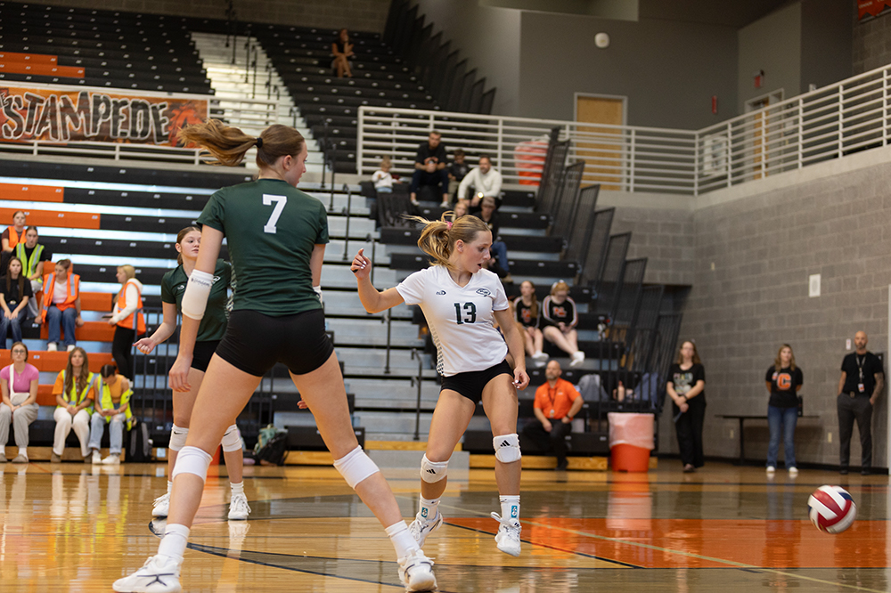 %_tempFileName1M6A5561%