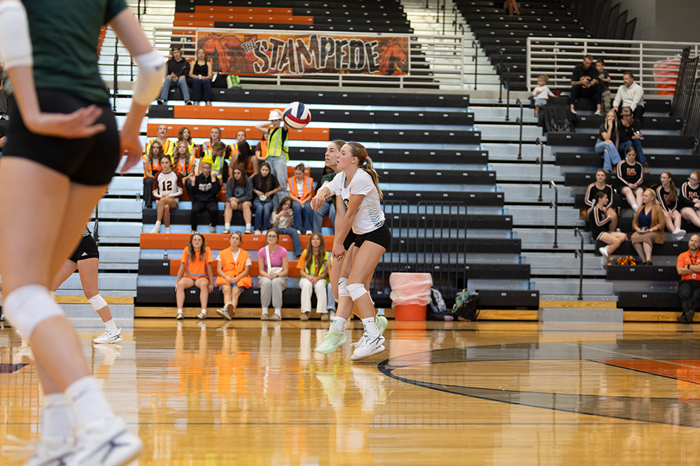 %_tempFileName1M6A5567%