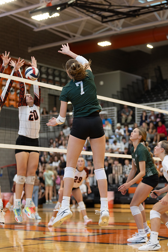 %_tempFileName1M6A5588%