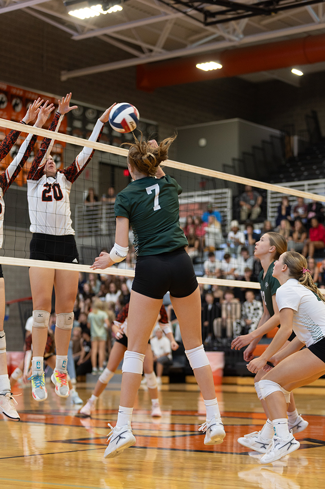 %_tempFileName1M6A5590%