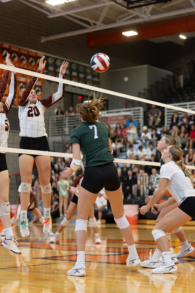 %_tempFileName1M6A5591%