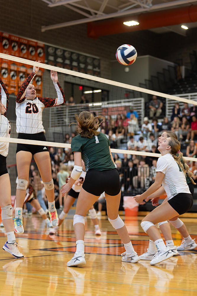 %_tempFileName1M6A5592%