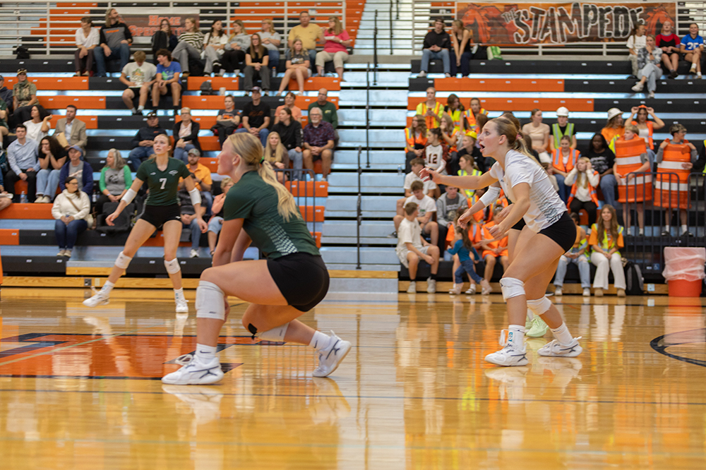 %_tempFileName1M6A5593%