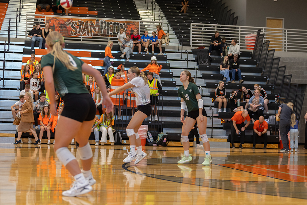 %_tempFileName1M6A5600%