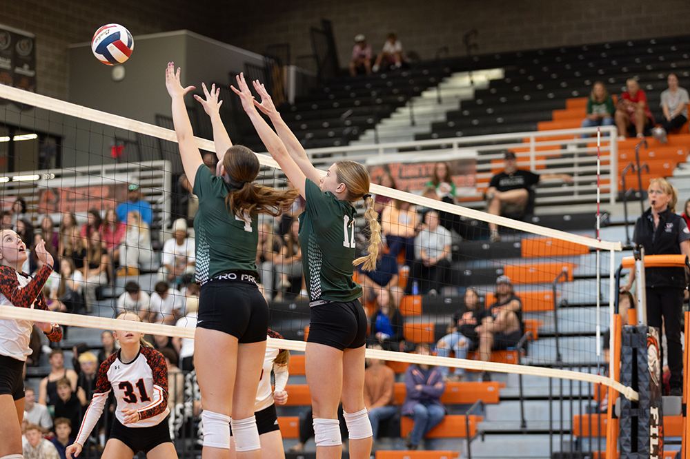 %_tempFileName1M6A5613%